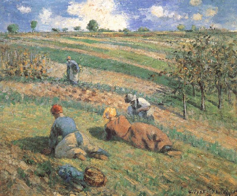 Camille Pissarro Field work oil painting image